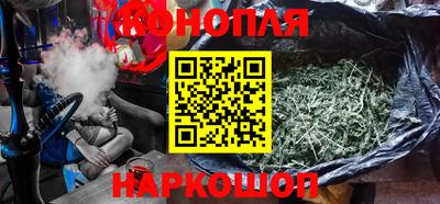 крисы Кулебаки