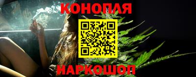крисы Кулебаки