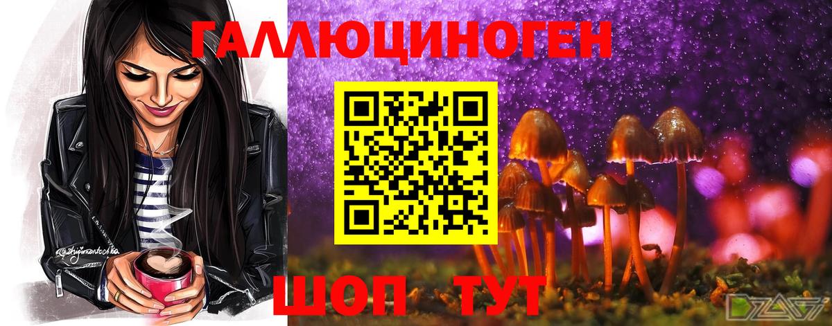 Псилоцибиновые грибы MAGIC MUSHROOMS Конаково