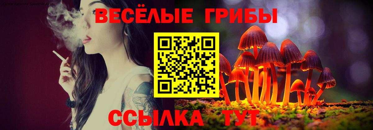 купить закладку  Вход с VPN  Конаково  Галлюциногенные грибы прущие грибы 